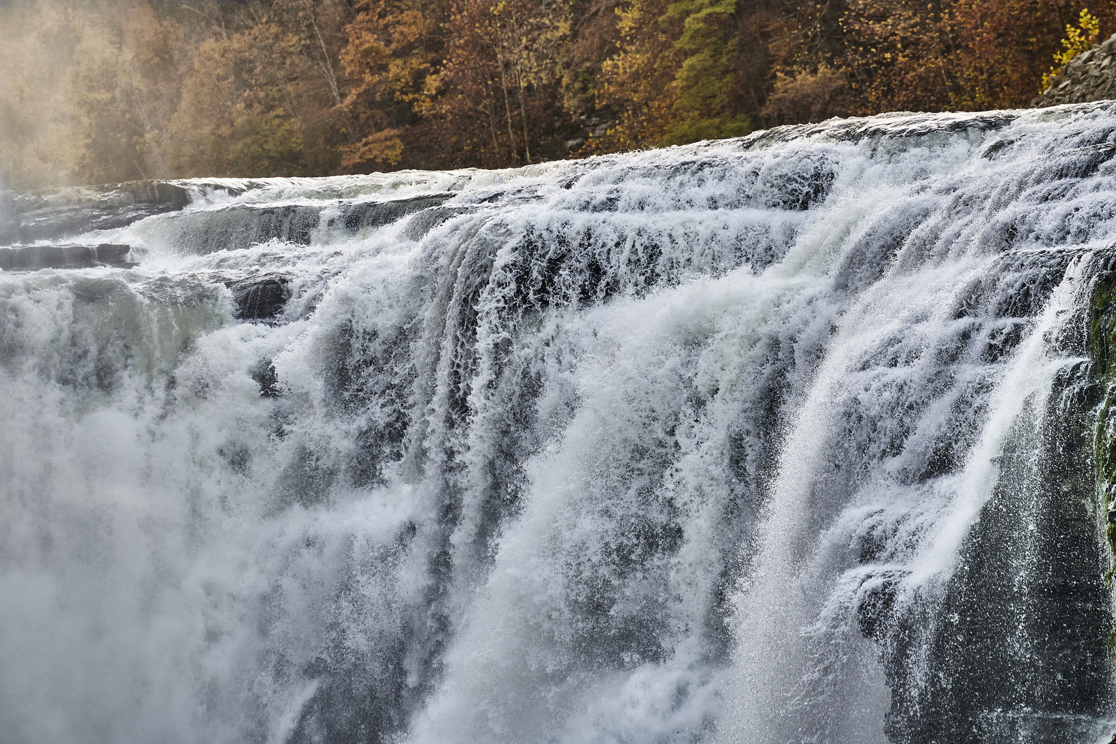 Indian Summer, Letchworth State Park, NY, USA